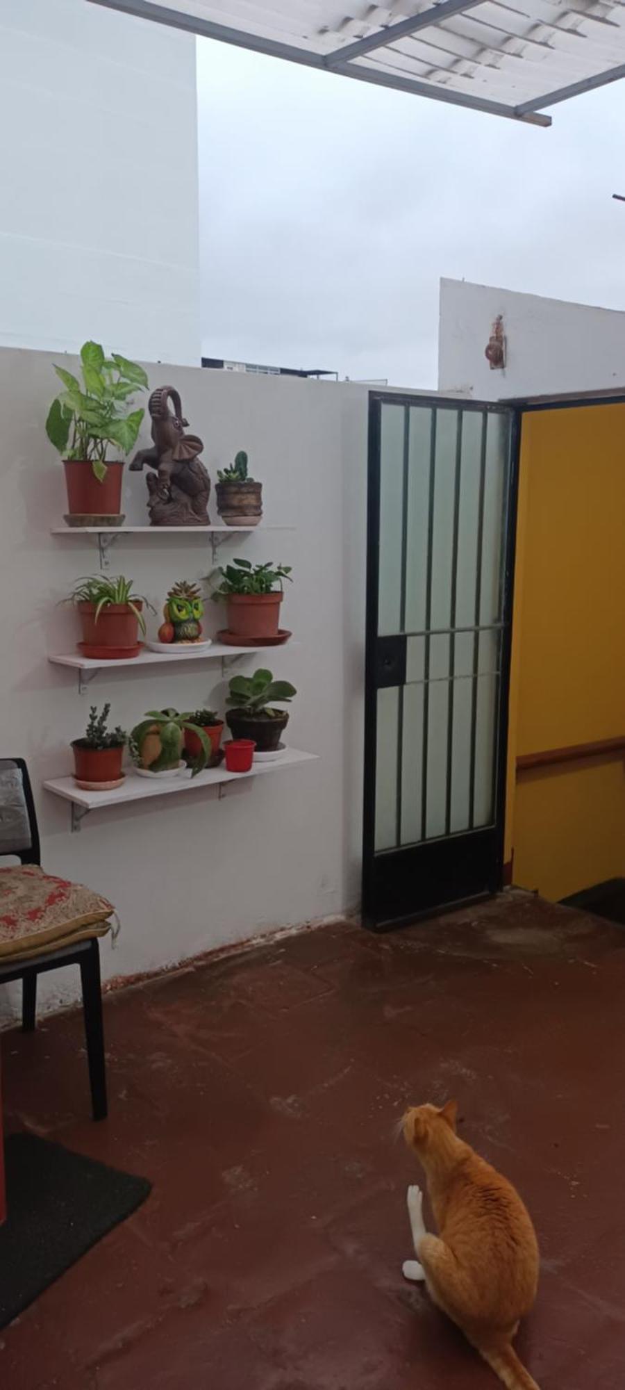 Hospedaje Marita Lima Exterior foto